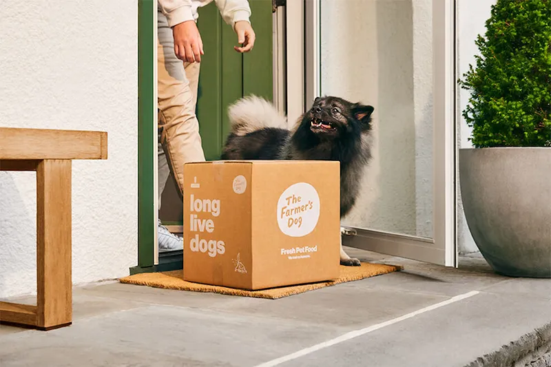 Viral-Ready Unboxing Pet Subscription aaltopahvilaatikot